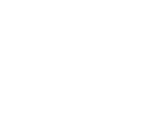 Ética, Honestidad y Transparencia